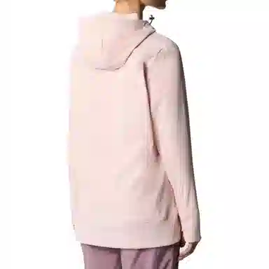 THE NORTH FACE Tekno Pullover Hoodie