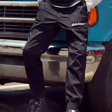Dickies