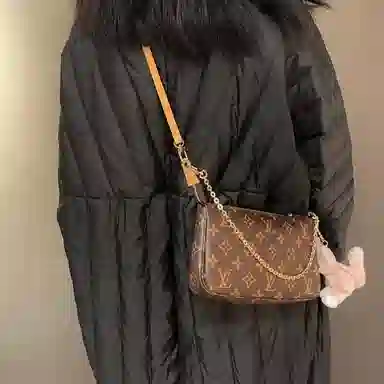 FANJI Lv
