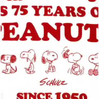 UNIQLO x PEANUTS SS25 T