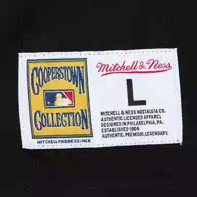 Mitchell Ness x MLB Pittsburgh Pirates Jacquard Ringer T