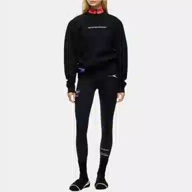 Canada Goose Snow Goose SS25