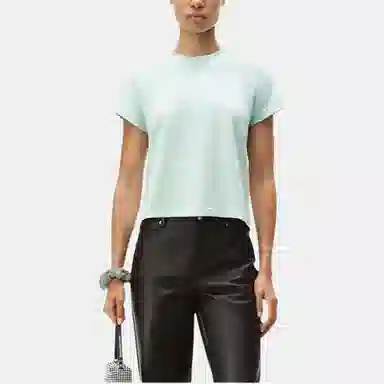 alexander wang FW24 T