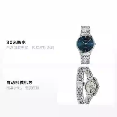 LONGINES 30mm L4.361.4.92.6