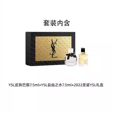 YSL 2022