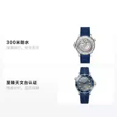 Omega Seamaster 210.32.42.20.06.001