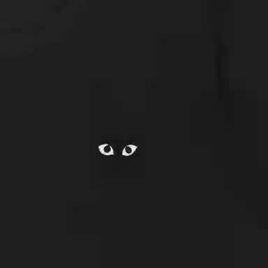 CDG Play T