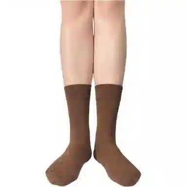Dorsill 5