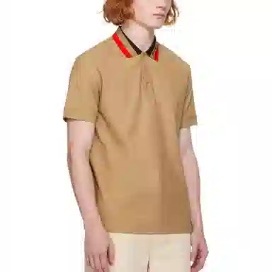 Burberry logoPolo