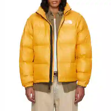 THE NORTH FACE 1996Nuptse Logo