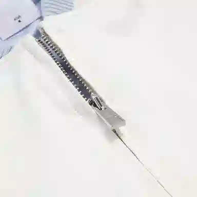 PUMA FW23 Metallic Logo Raglan Jacket White