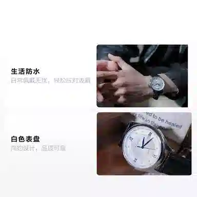 Sea-Gull E6001+E6001L