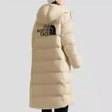 The North Face Mountain