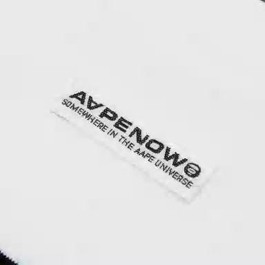 Aape FW24 Striped Long Sleeve Tee Grey