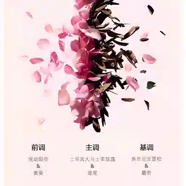 VERY IRRSISTIBLE EDT 80ml