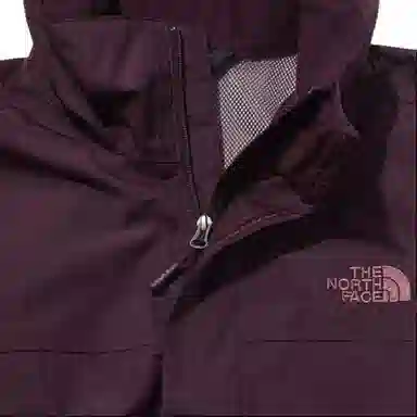 THE NORTH FACE Logo