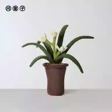 43cm