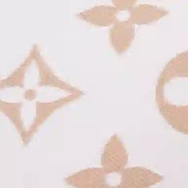 Louis Vuitton Monogram Tassel Scarf Brown