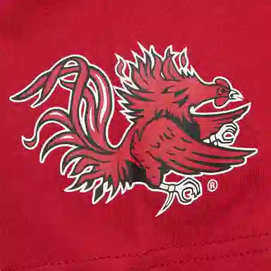 Mitchell Ness x NCAA South Carolina Gamecocks Jacquard Ringer T