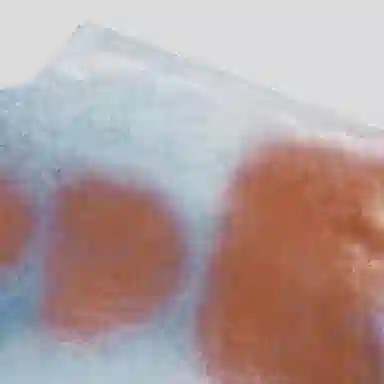 GOOD BAI GOODEES SS24