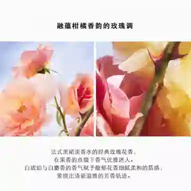 LA PETITE ROBE NOIRE EDT 30ml50ml75ml100ml