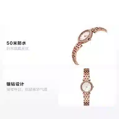 MICHAEL KORS PETITE DAR MK3832