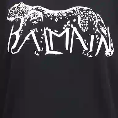 BALMAIN FW25