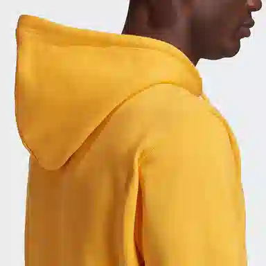 adidas originals Trefoil Hoodie