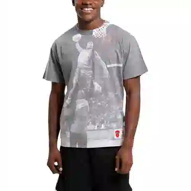 Mitchell Ness T