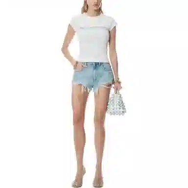 alexander wang Logo T