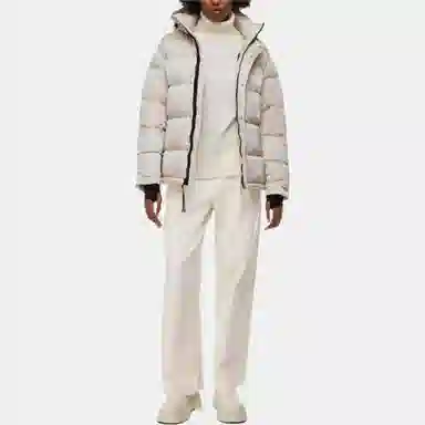 ARITZIA Super Puff Liquid Shine