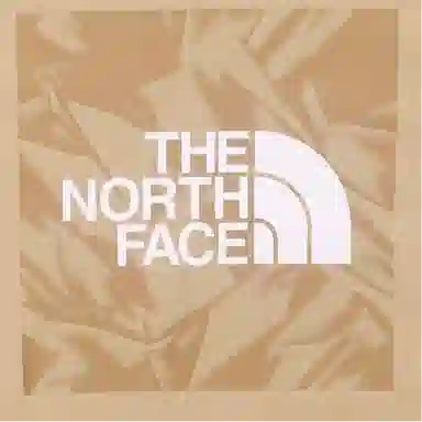 THE NORTH FACE logo