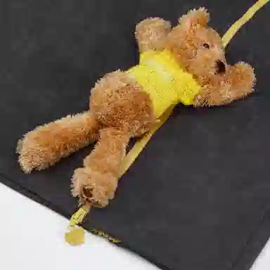 NOISY TEDDY