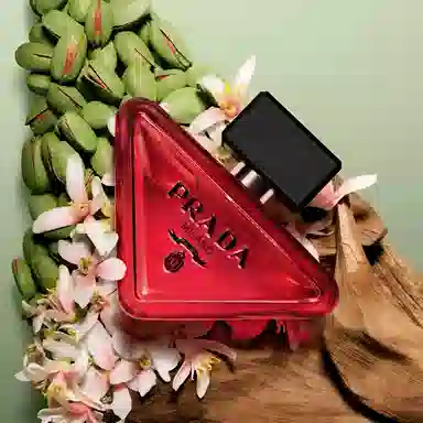 Prada Paradoxe Radical Essence