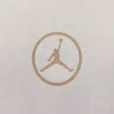Jordan Flight EssentialsBRAND T