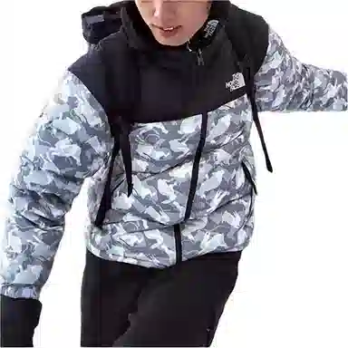 The North Face