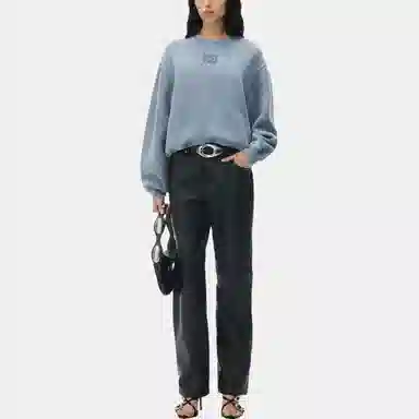 Alexander Wang Essential Sweatshirt Light Blue