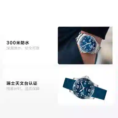 LONGINES 300 41mm L3.781.4.96.9