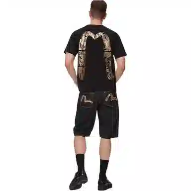 EVISU mT