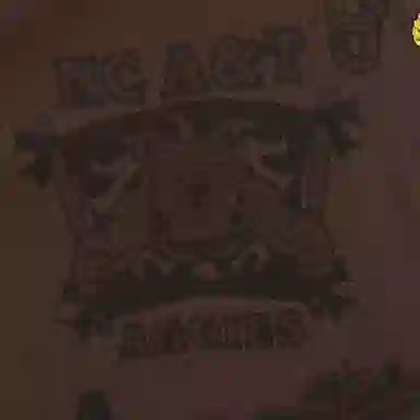 Travis Scott x Mitchell & Ness NC A&T University Logo Tee