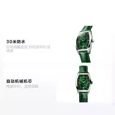 LONGINES 26*30.6mm L2.142.4.06.2