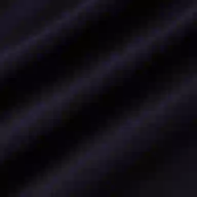 MaxMara FW24 BASILEA Logo