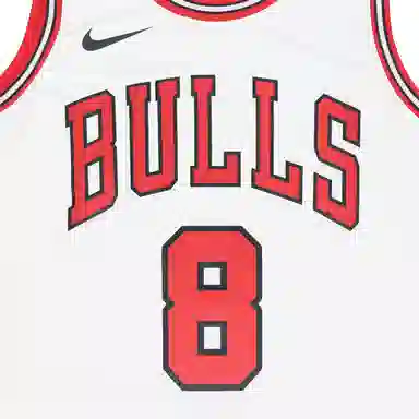 Nike NBA Swingman Jersey SW 2020 8