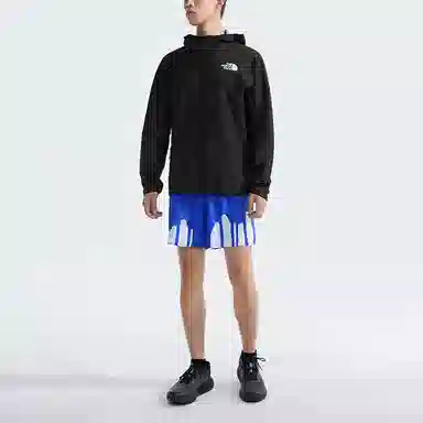 THE NORTH FACE SUMMIT SuperiorFLlogo