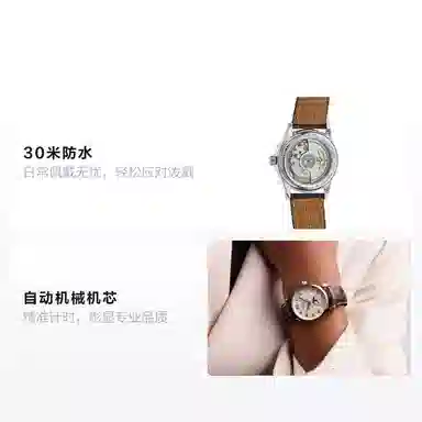 Longines Master Collection L2.409.4.78.3