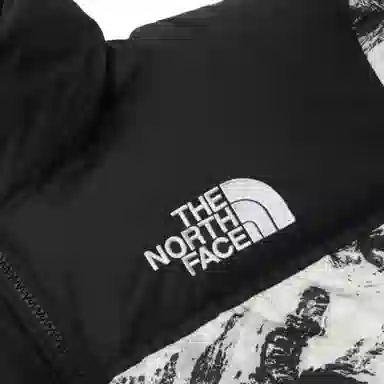 The North Face 1996 Novelty Nuptse Jacket