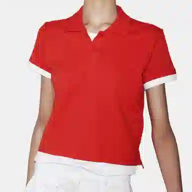 ZARA Polo