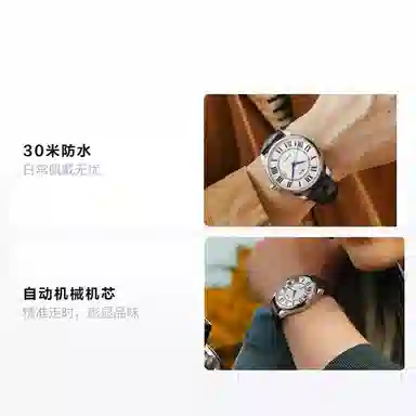 IW CARNIVAL HWGUOJI 665