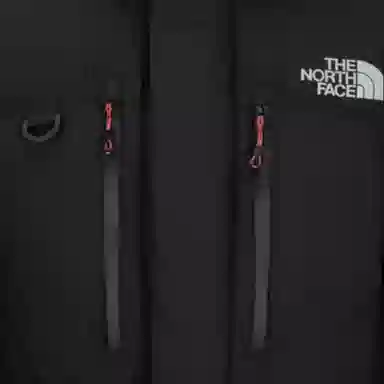 The North Face Logo Embroidered Hooded Down Jacket