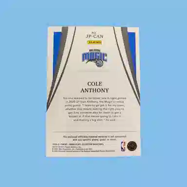 PANINI 2020-21 IMM patch4050